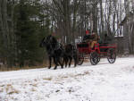 Macy and Lacy (Parbred Dales Ponies) pulling wagon.