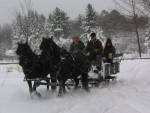 Macy and Lacy (Parbred Dales Ponies) pulling sleigh.